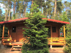 Leśne Zacisze in Poddąbie